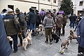 VBS_3846 - Quattordicesimo Raduno Nazionale dei Tabui 2024